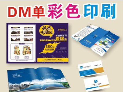 洱源单页印刷,色彩搭配简单。
